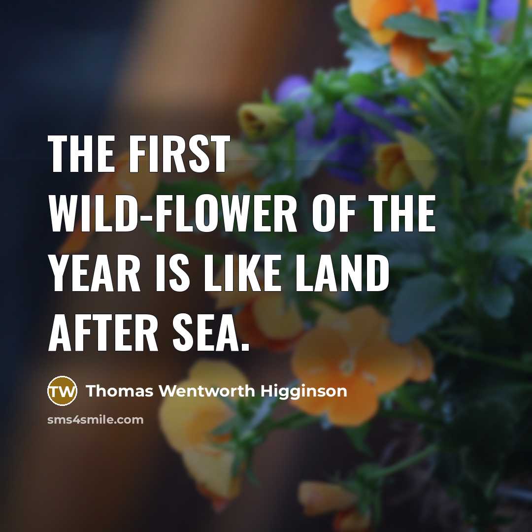 “The first wild-flower of the year is like land after…” quote by Thomas Wentworth Higginson