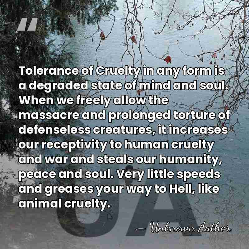 Tolerance of Cruelty in any form is a degraded state of mind&hellip; - Russell Boyd