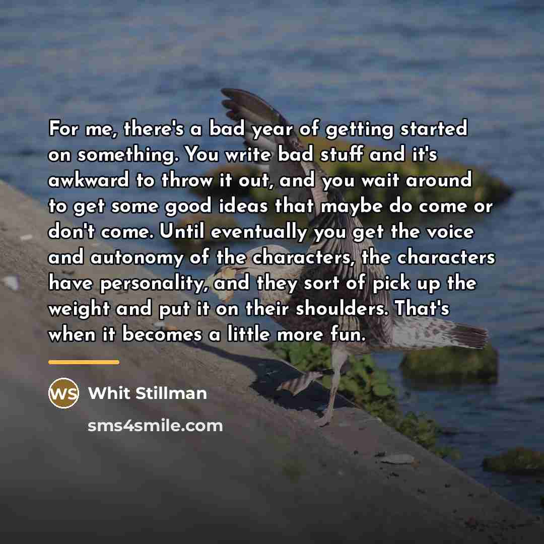 “For me, there's a bad year of getting started on…” quote by Whit Stillman