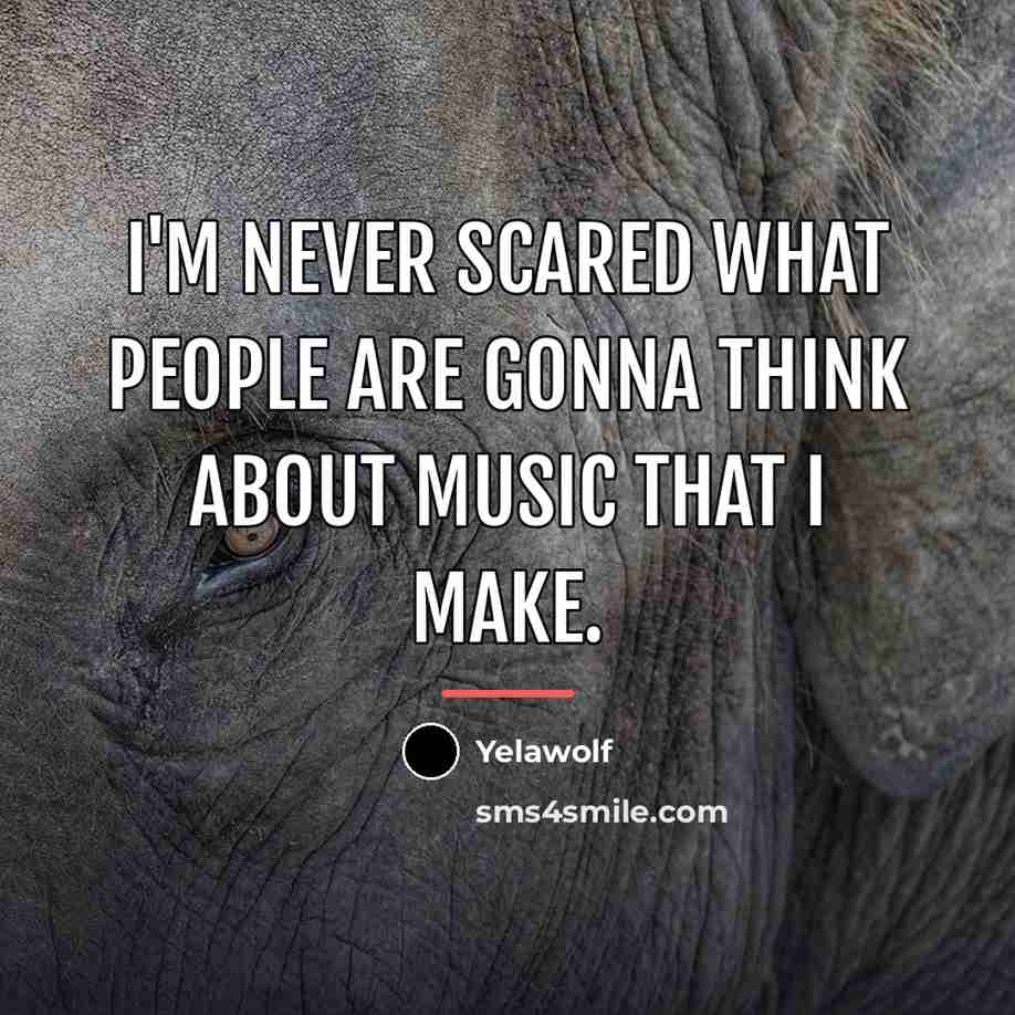 “I'm never scared what people are gonna think about music…” quote by Yelawolf