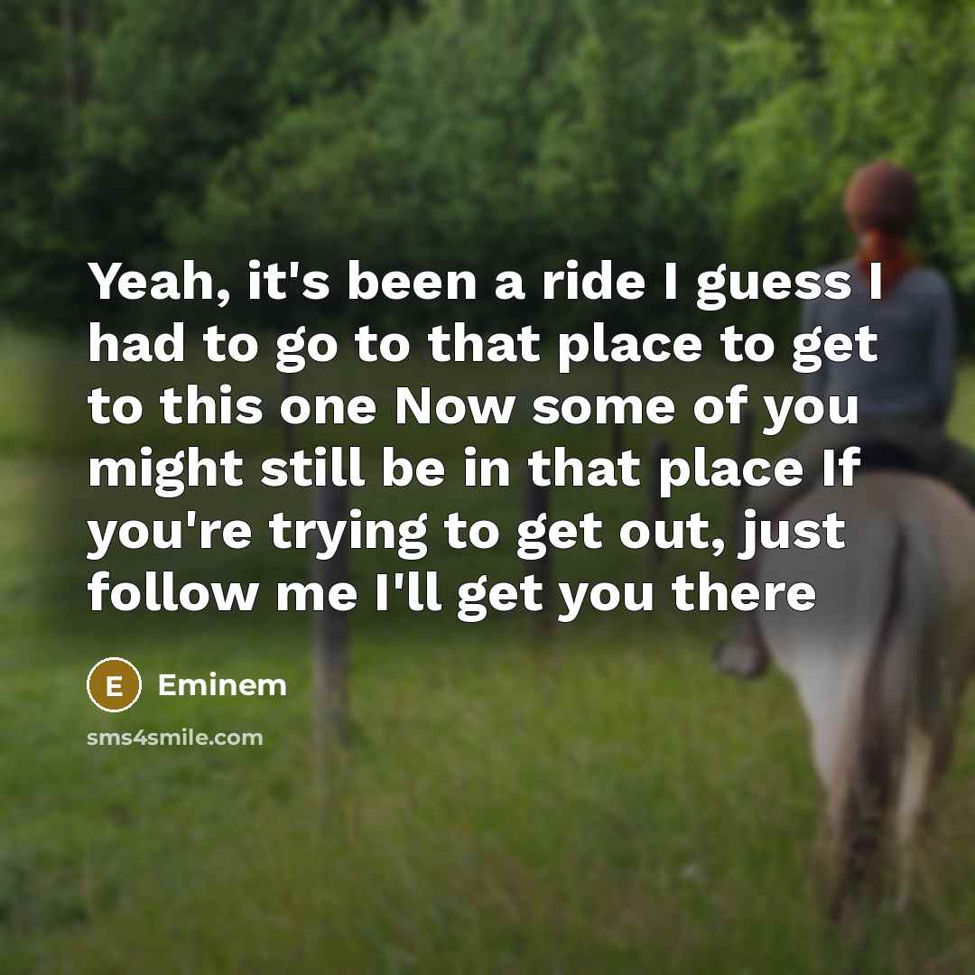 “Yeah, it's been a ride I guess I had to…” quote by Eminem