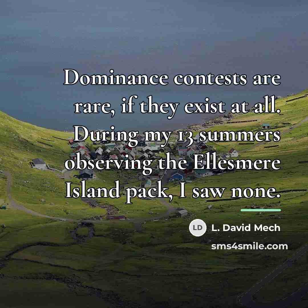 “Dominance contests are rare, if they exist at all. During…” quote by L. David Mech