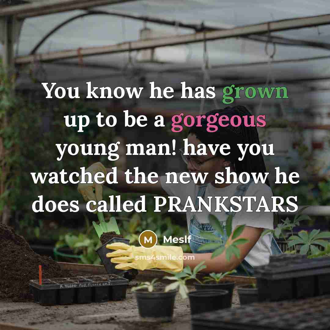 “You know he has grown up to be a gorgeous young man! have you watched the new show he does called PRANKSTARS” quote by Meslf