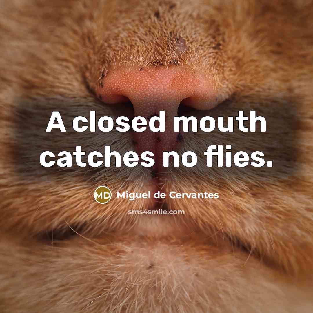 “A closed mouth catches no flies.…” quote by Miguel de Cervantes
