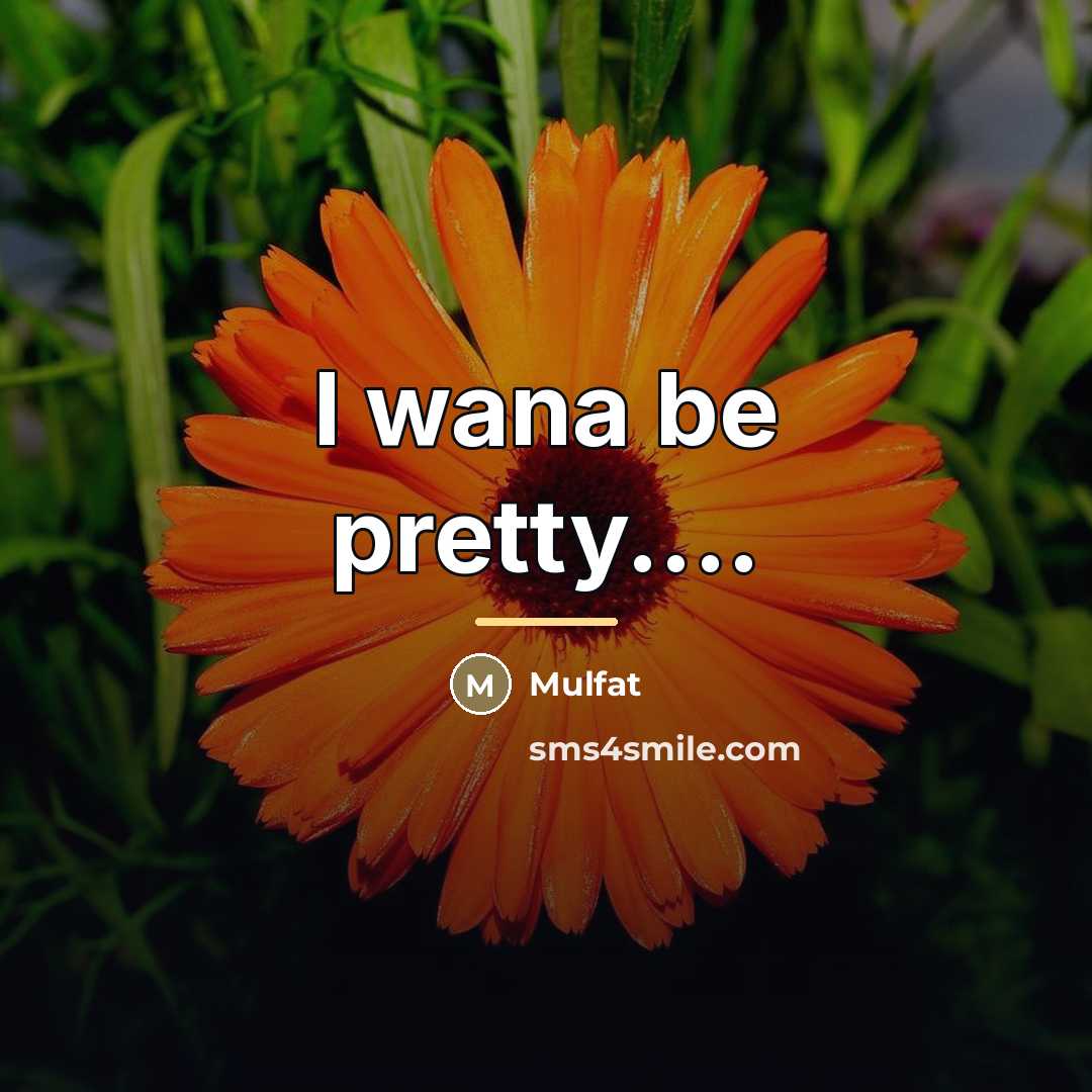 “I wana be pretty....…” quote by Mulfat