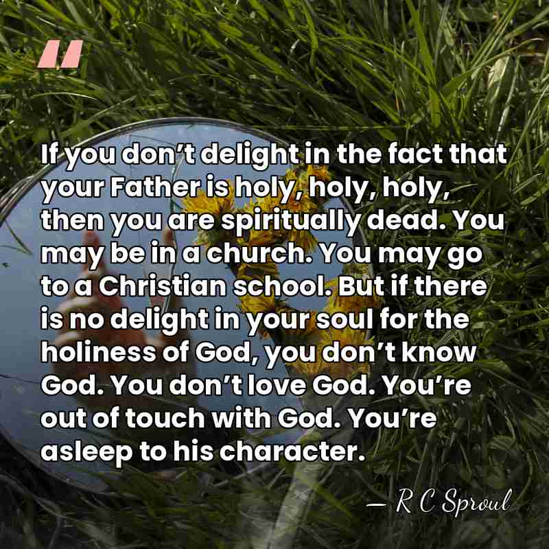 If you don’t delight in the fact that your Father is holy,&hellip; - R C Sproul