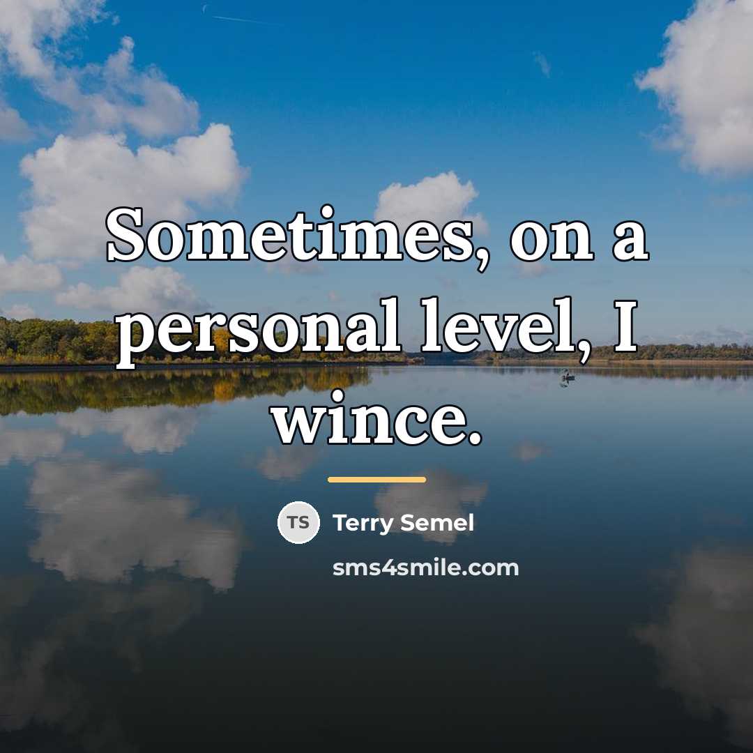 “Sometimes, on a personal level, I wince.…” quote by Terry Semel