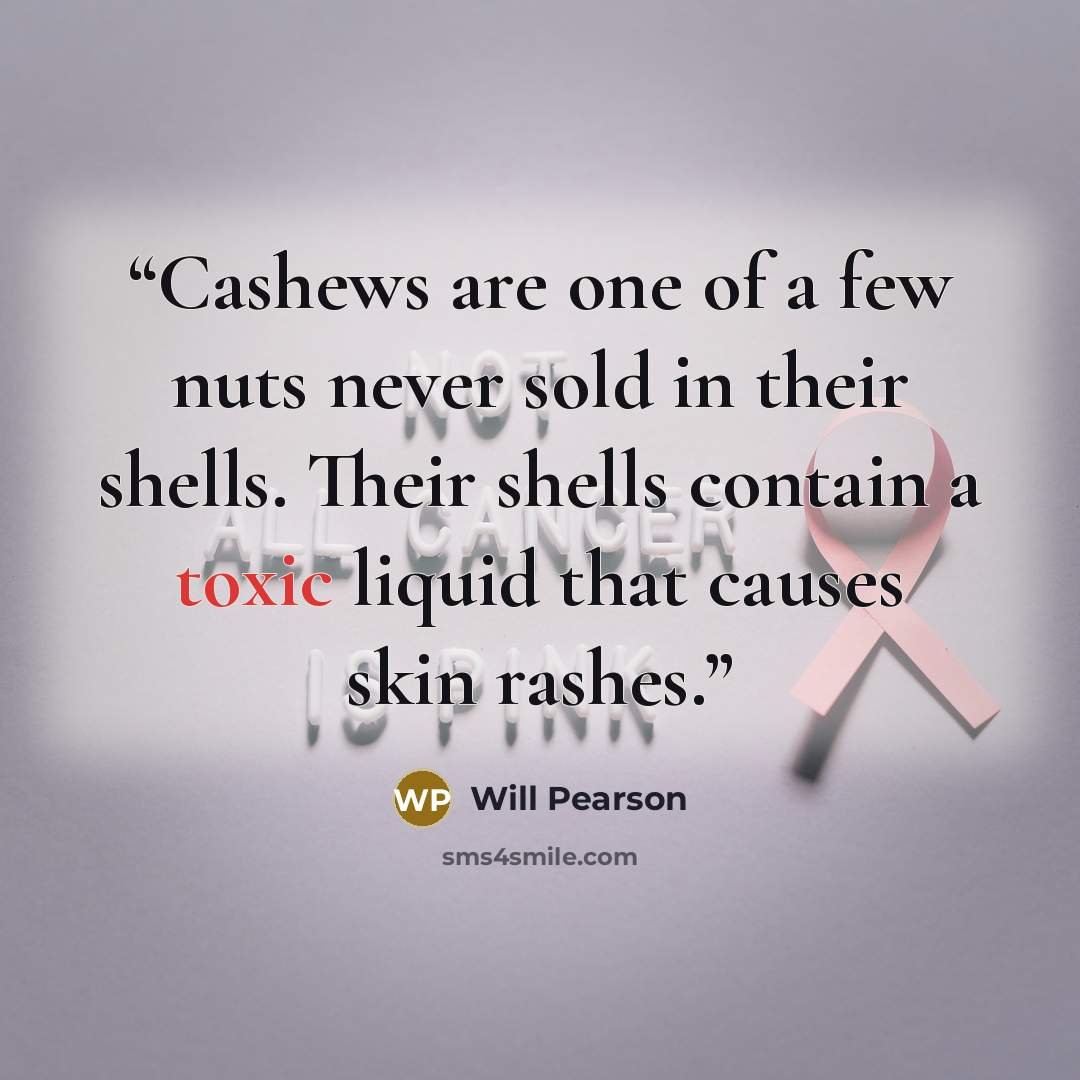 “Cashews are one of a few nuts never sold in their shells. Their shells contain a toxic liquid that causes skin rashes.” quote by Will Pearson