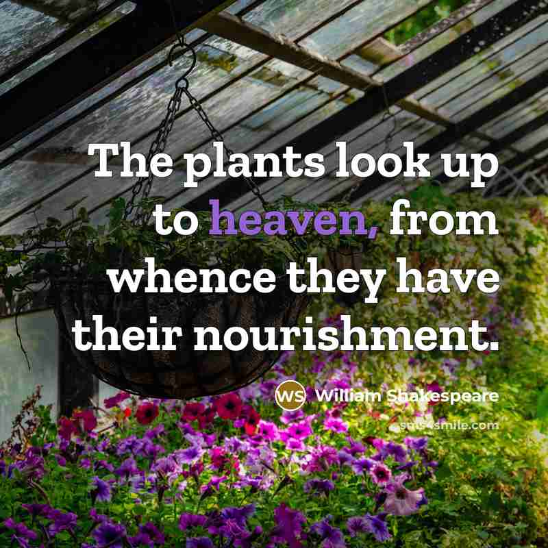 “The plants look up to heaven, from whence they have…” quote by William Shakespeare