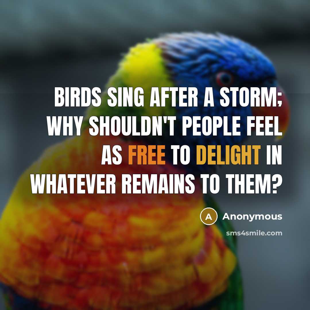 “Birds sing after a storm; why shouldn't people feel as free to delight in whatever remains to them?” quote by Anonymous