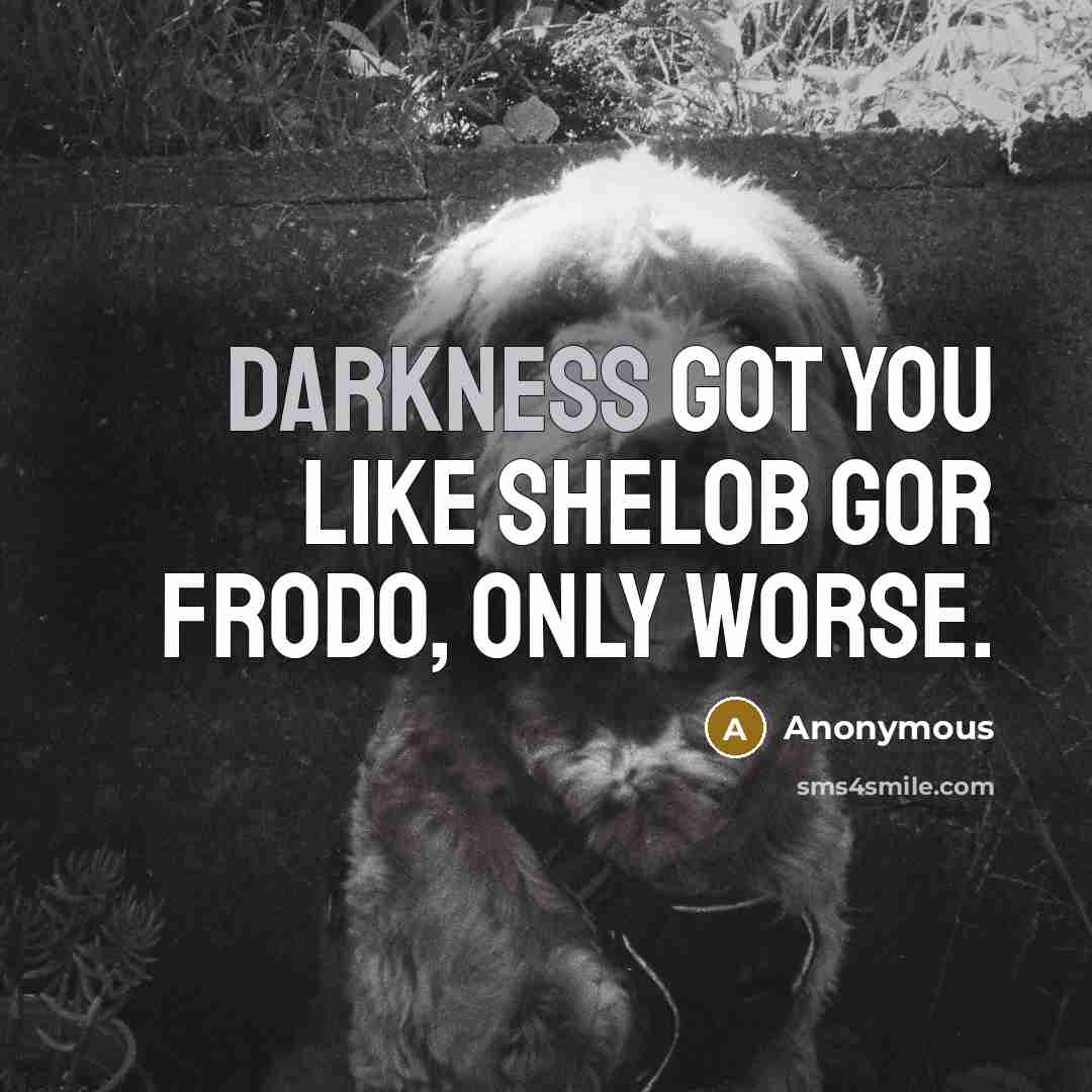 “Darkness got you like Shelob gor Frodo, only worse.…” quote by Anonymous