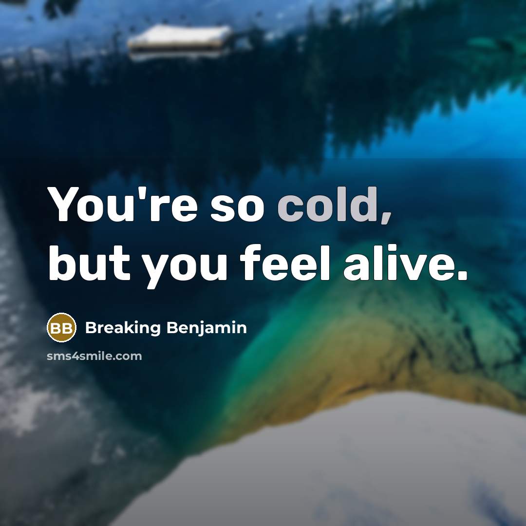 “You're so cold, but you feel alive.” quote by Breaking Benjamin