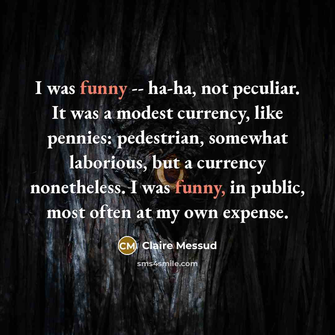 “I was funny -- ha-ha, not peculiar. It was a…” quote by Claire Messud