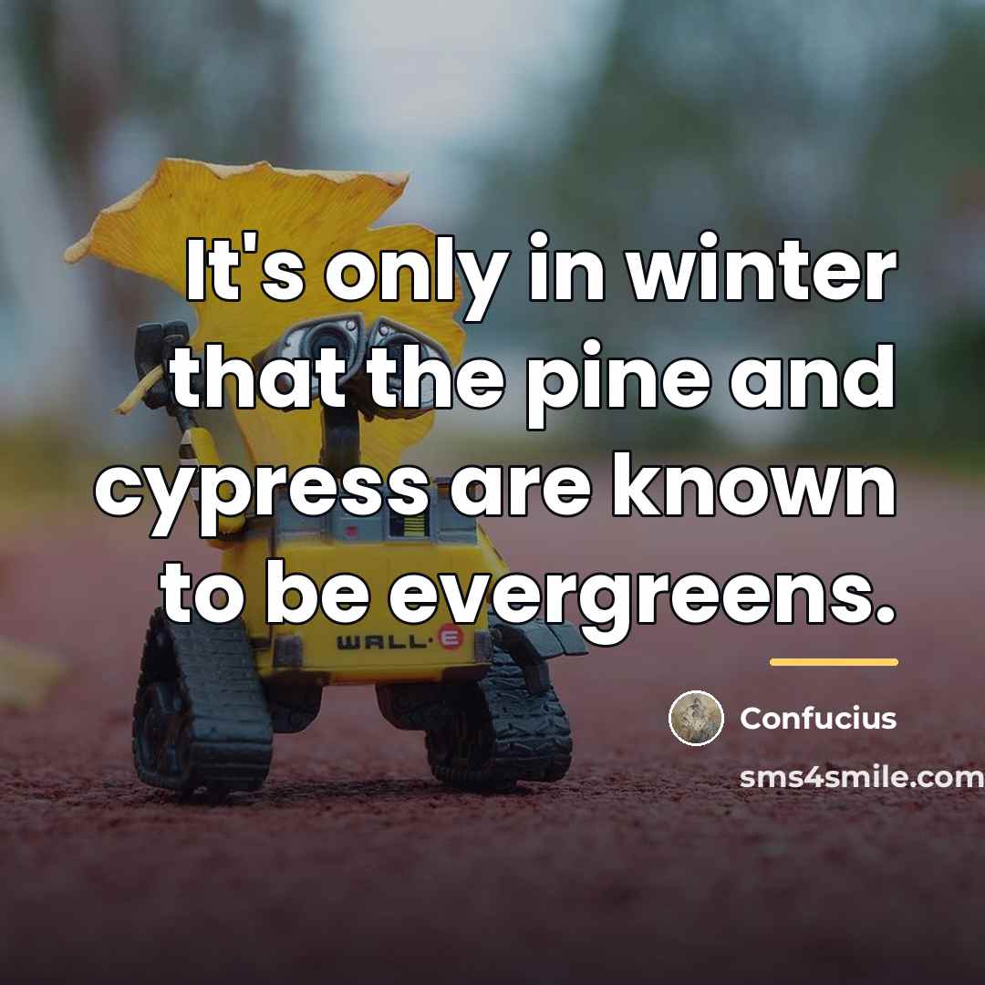 “It's only in winter that the pine and cypress are…” quote by Confucius