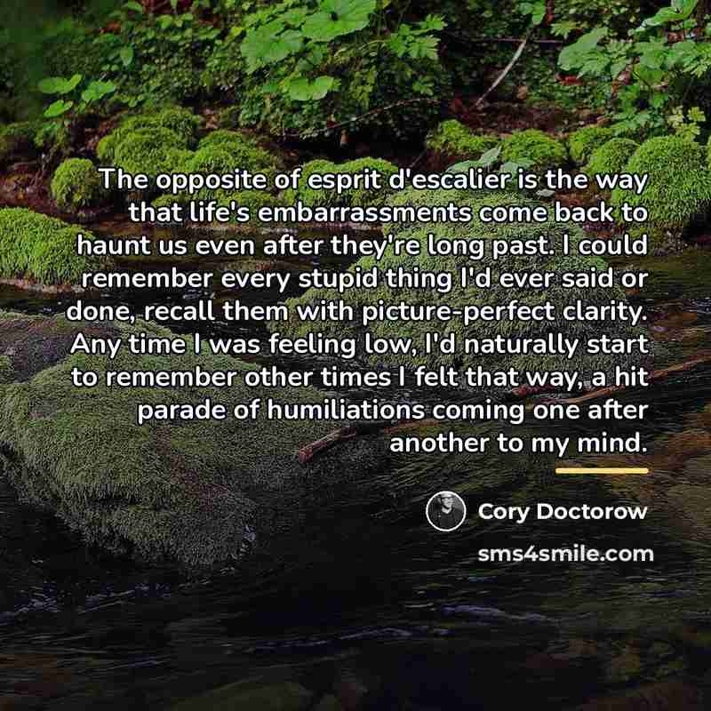 “The opposite of esprit d'escalier is the way that life's…” quote by Cory Doctorow