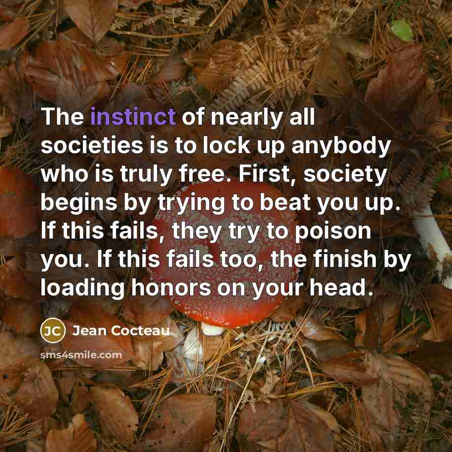 “The instinct of nearly all societies is to lock up…” quote by Jean Cocteau