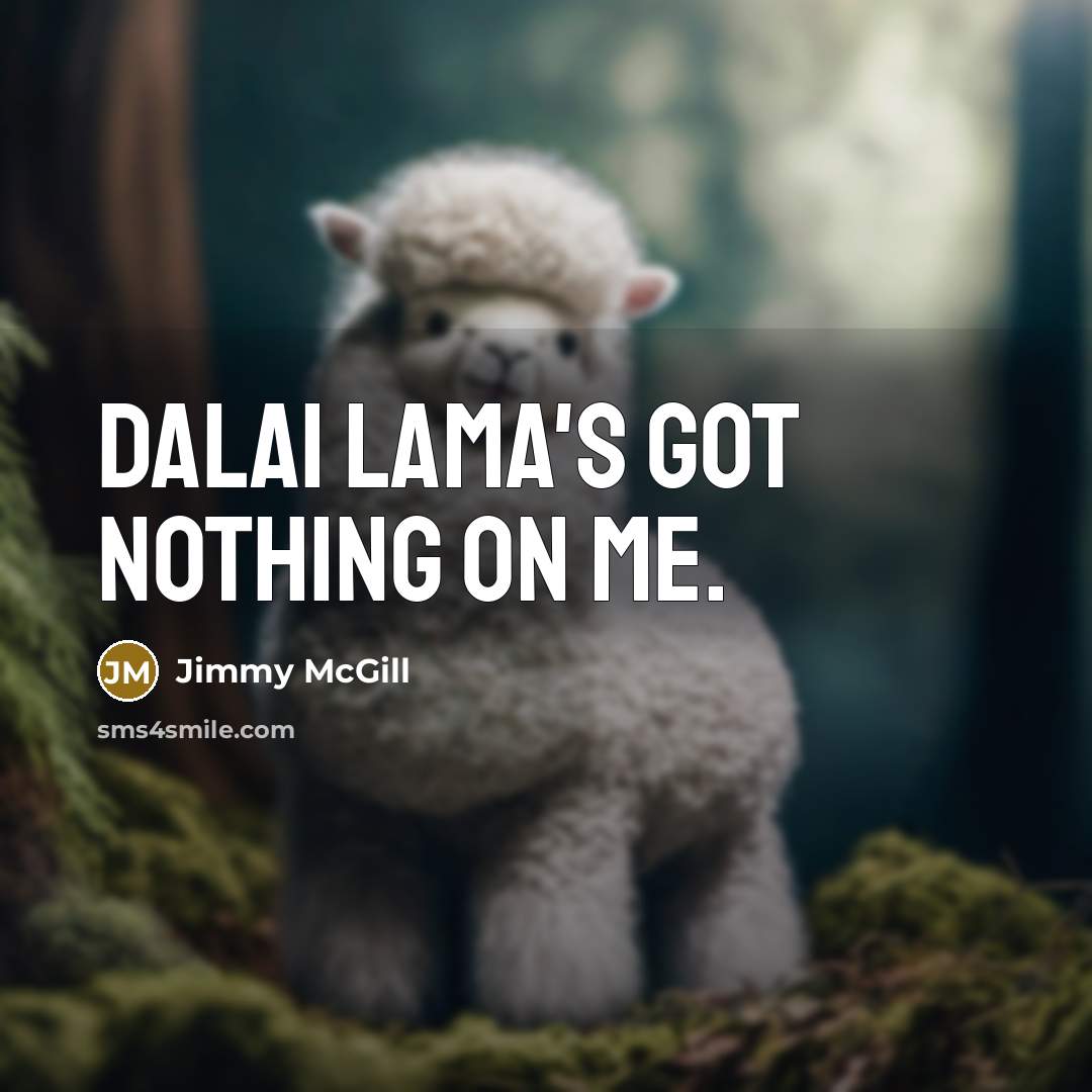 “Dalai Lama's got nothing on me.…” quote by Jimmy McGill