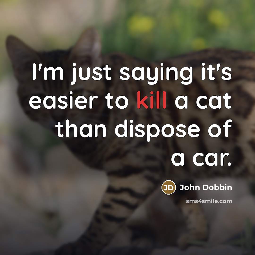 “I'm just saying it's easier to kill a cat than…” quote by John Dobbin