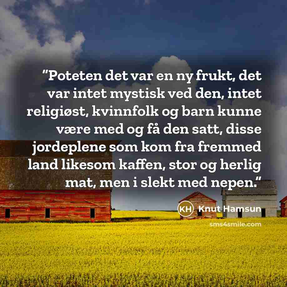 “Poteten det var en ny frukt, det var intet mystisk ved den, intet religiøst, kvinnfolk og barn kunne være med og få den satt, disse jordeplene som kom fra fremmed land likesom kaffen, stor og herlig mat, men i slekt med nepen.” quote by Knut Hamsun