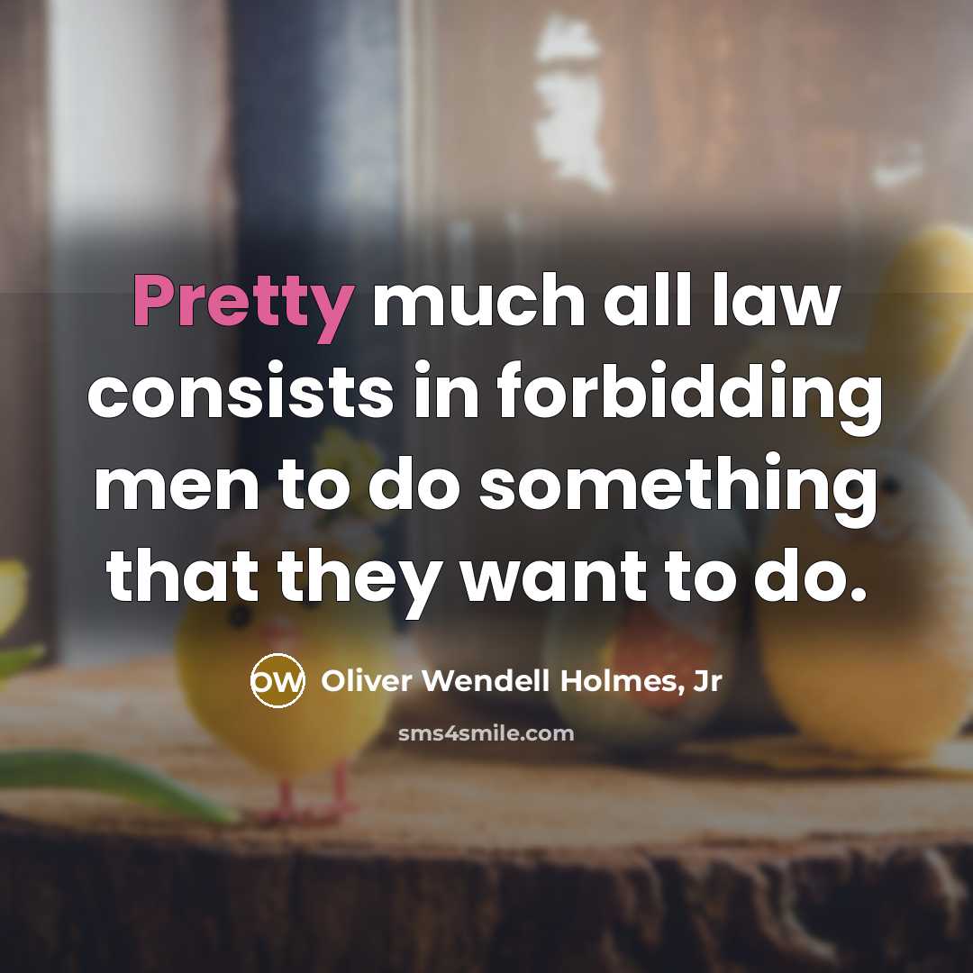 “Pretty much all law consists in forbidding men to do…” quote by Oliver Wendell Holmes, Jr