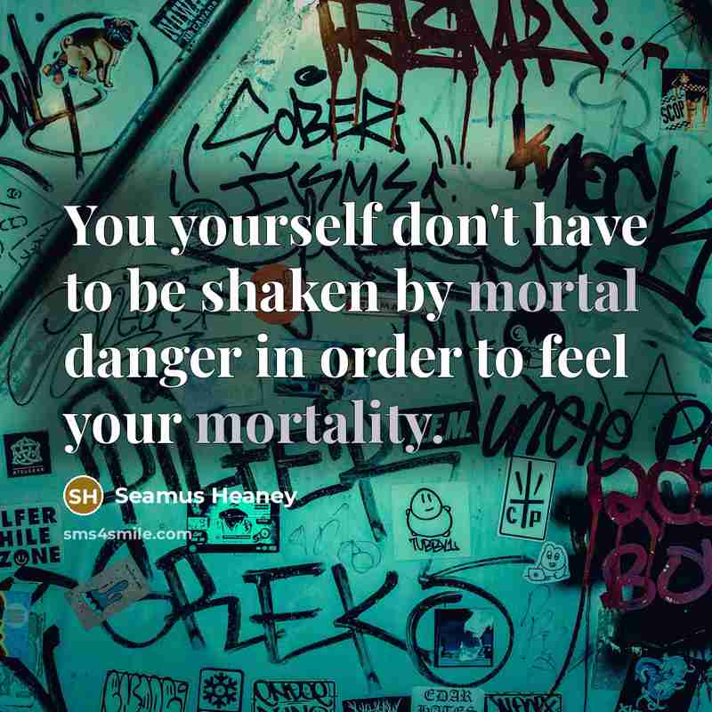 “You yourself don't have to be shaken by mortal danger…” quote by Seamus Heaney