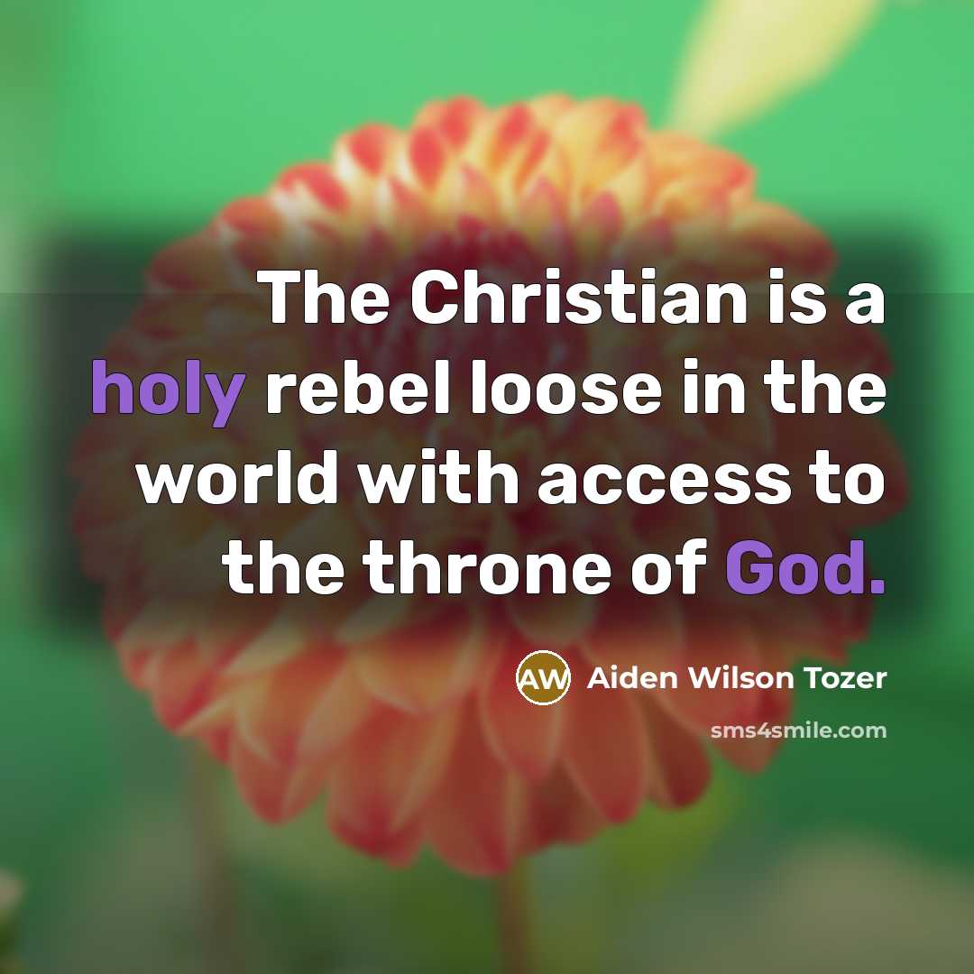 “The Christian is a holy rebel loose in the world…” quote by Aiden Wilson Tozer