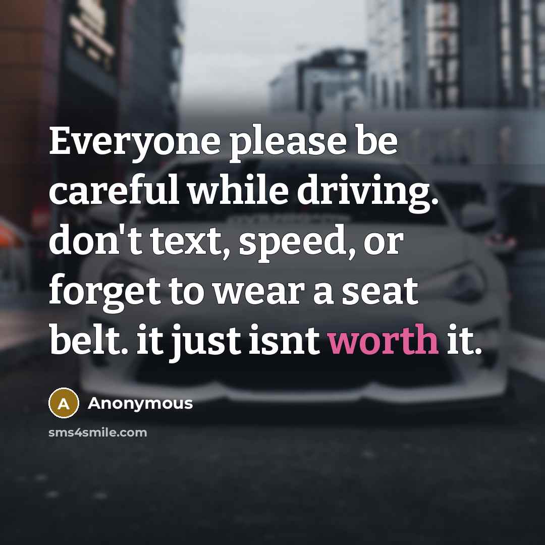 “Everyone please be careful while driving. don't text, speed, or forget to wear a seat belt. it just isnt worth it.” quote by Anonymous