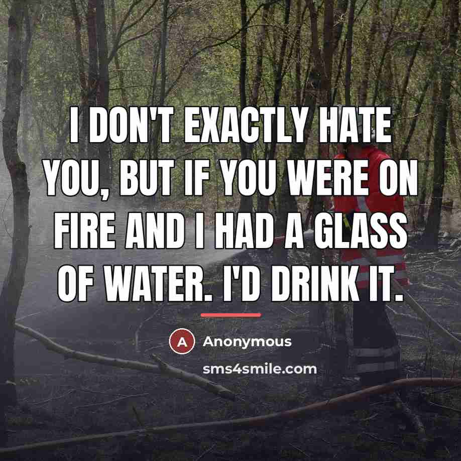 “I don't exactly hate you, but if you were on…” quote by Anonymous