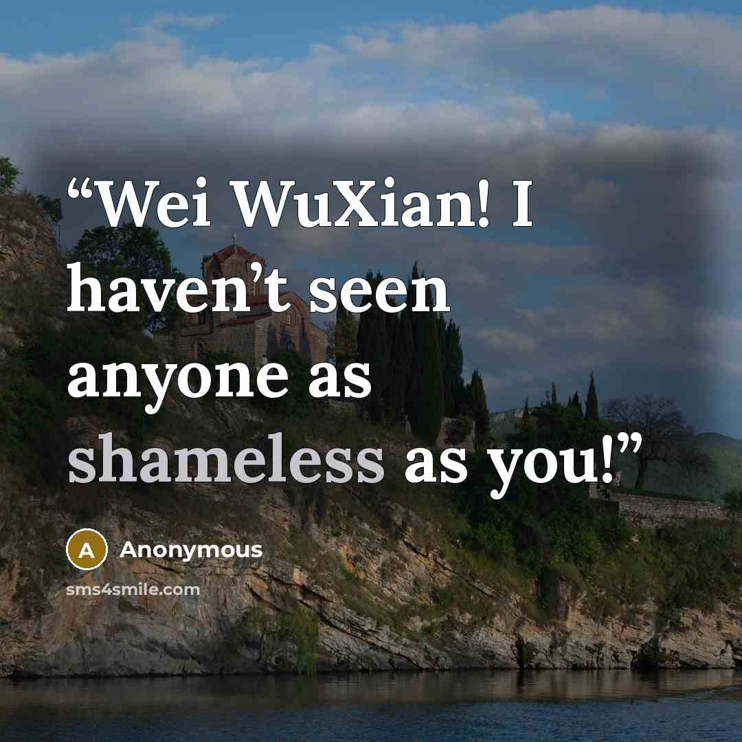 “Wei WuXian! I haven’t seen anyone as shameless as you!” quote by Anonymous