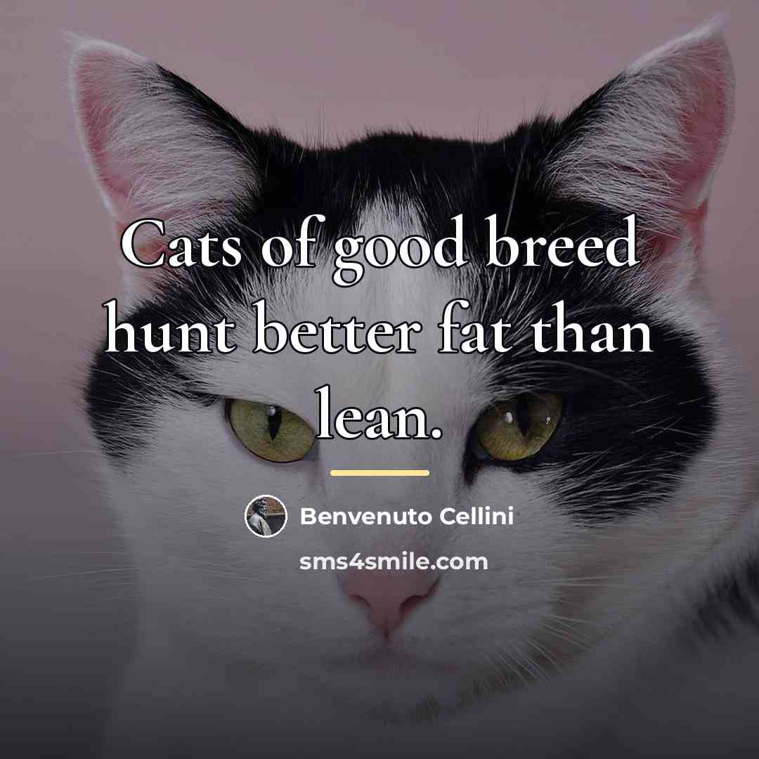 “Cats of good breed hunt better fat than lean.…” quote by Benvenuto Cellini
