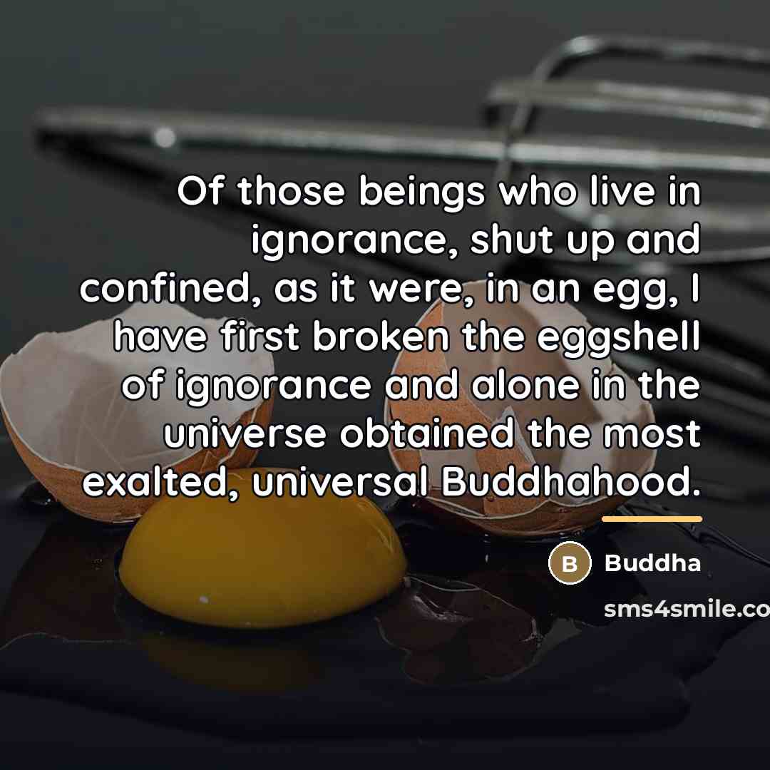 “Of those beings who live in ignorance, shut up and…” quote by Buddha