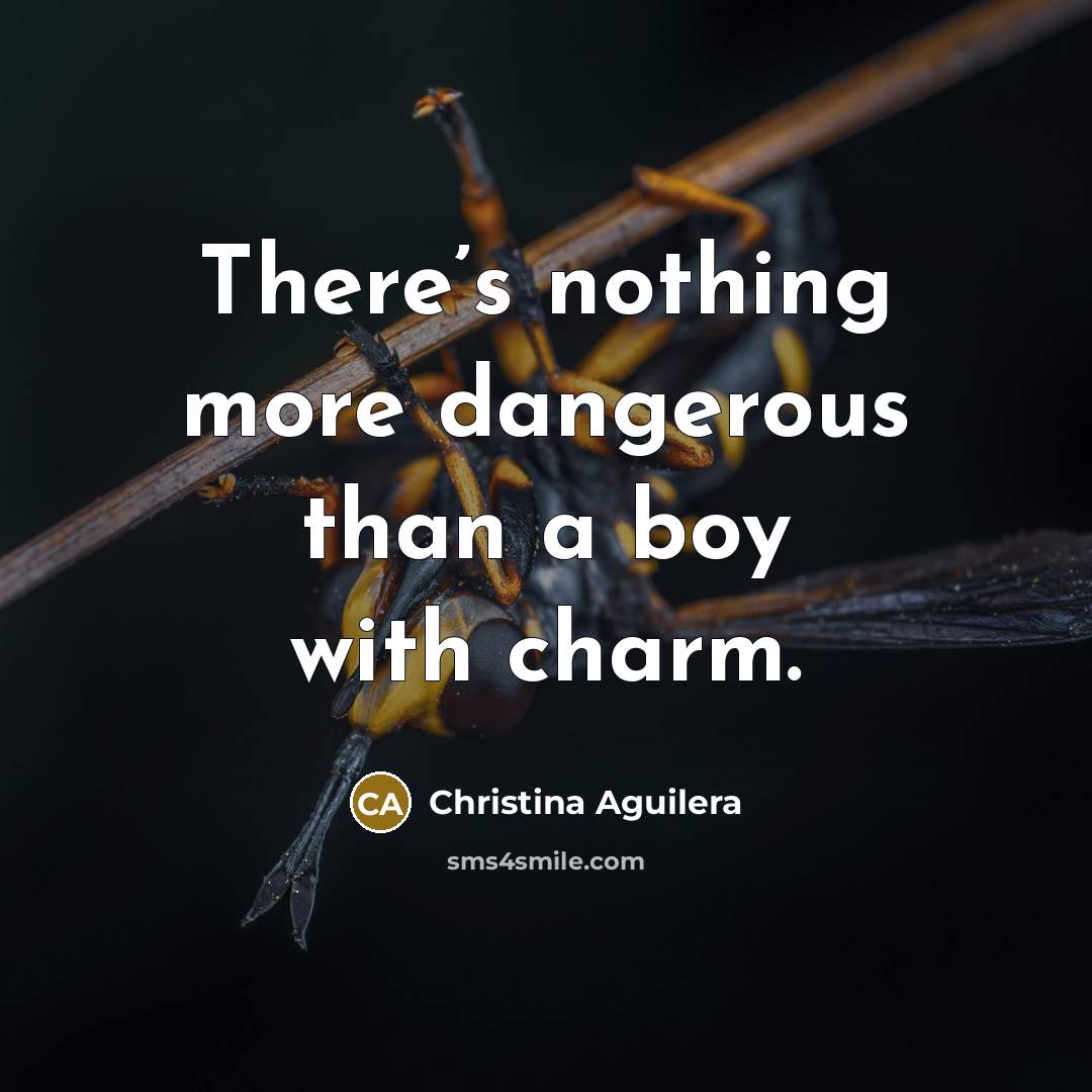“There’s nothing more dangerous than a boy with charm.…” quote by Christina Aguilera