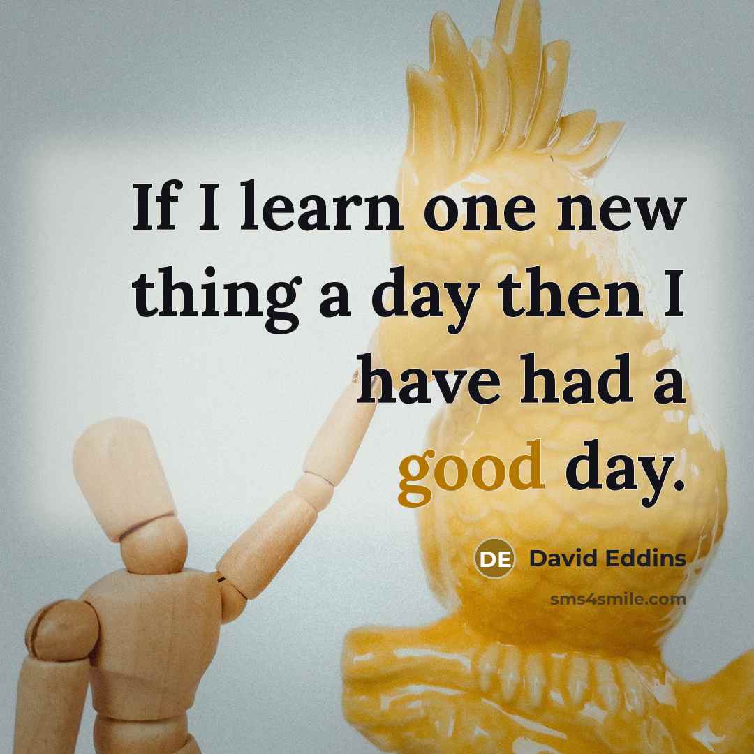 “If I learn one new thing a day then I have had a good day.” quote by David Eddins