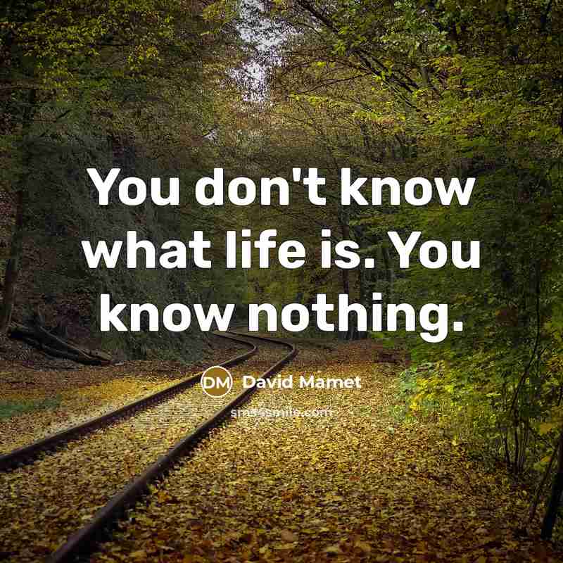 “You don't know what life is. You know nothing.…” quote by David Mamet