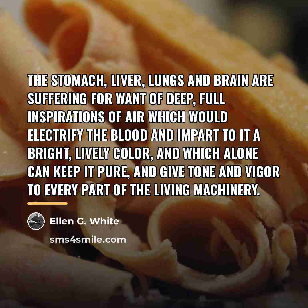 “The stomach, liver, lungs and brain are suffering for want…” quote by Ellen G. White