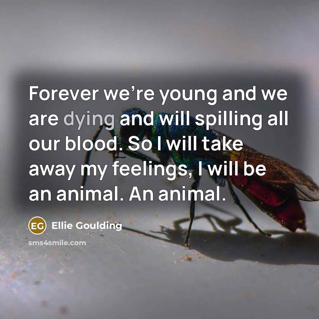 “Forever we're young and we are dying and will spilling…” quote by Ellie Goulding