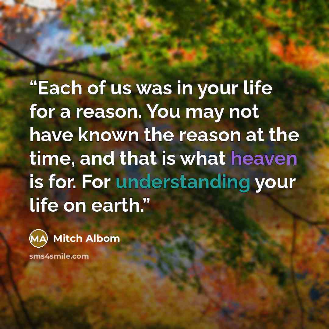 “Each of us was in your life for a reason. You may not have known the reason at the time, and that is what heaven is for. For understanding your life on earth.” quote by Mitch Albom