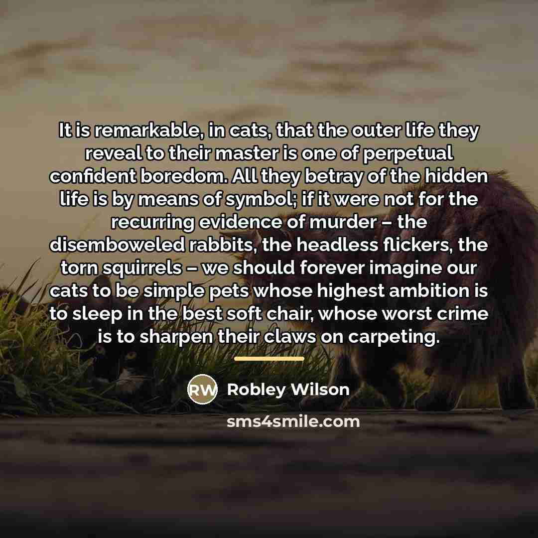 “It is remarkable, in cats, that the outer life they…” quote by Robley Wilson