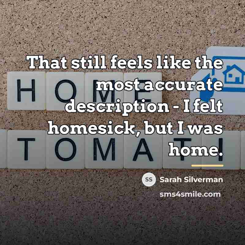 “That still feels like the most accurate description - I…” quote by Sarah Silverman