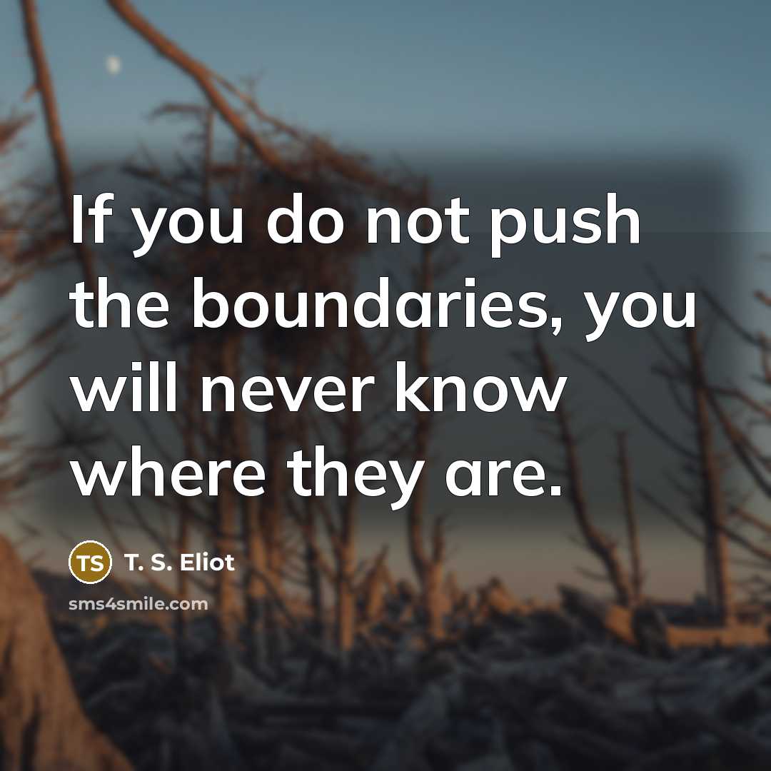 “If you do not push the boundaries, you will never…” quote by T. S. Eliot