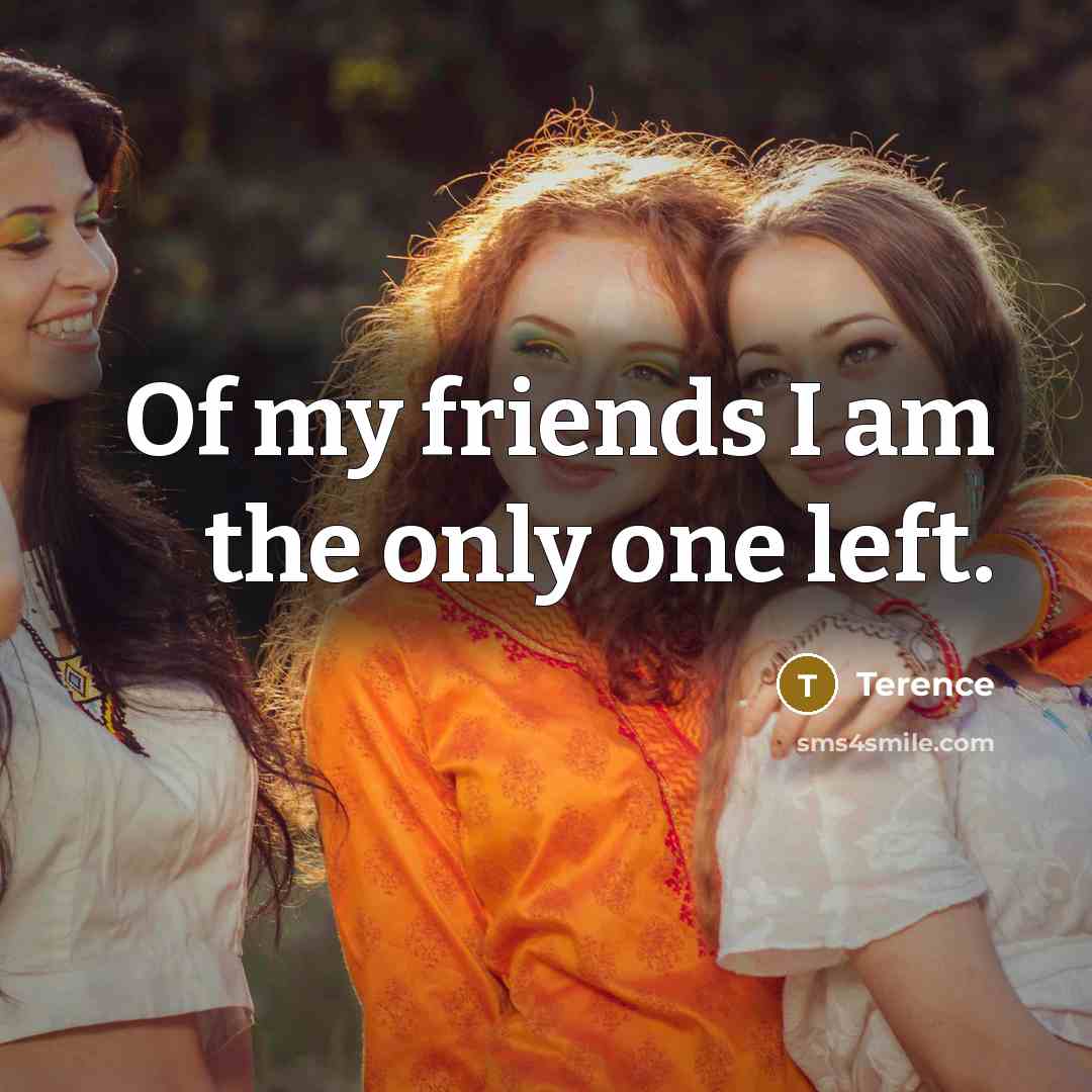 “Of my friends I am the only one left.…” quote by Terence