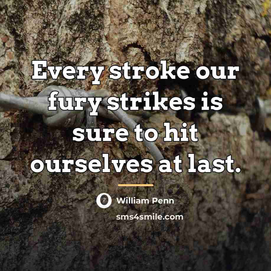 “Every stroke our fury strikes is sure to hit ourselves…” quote by William Penn