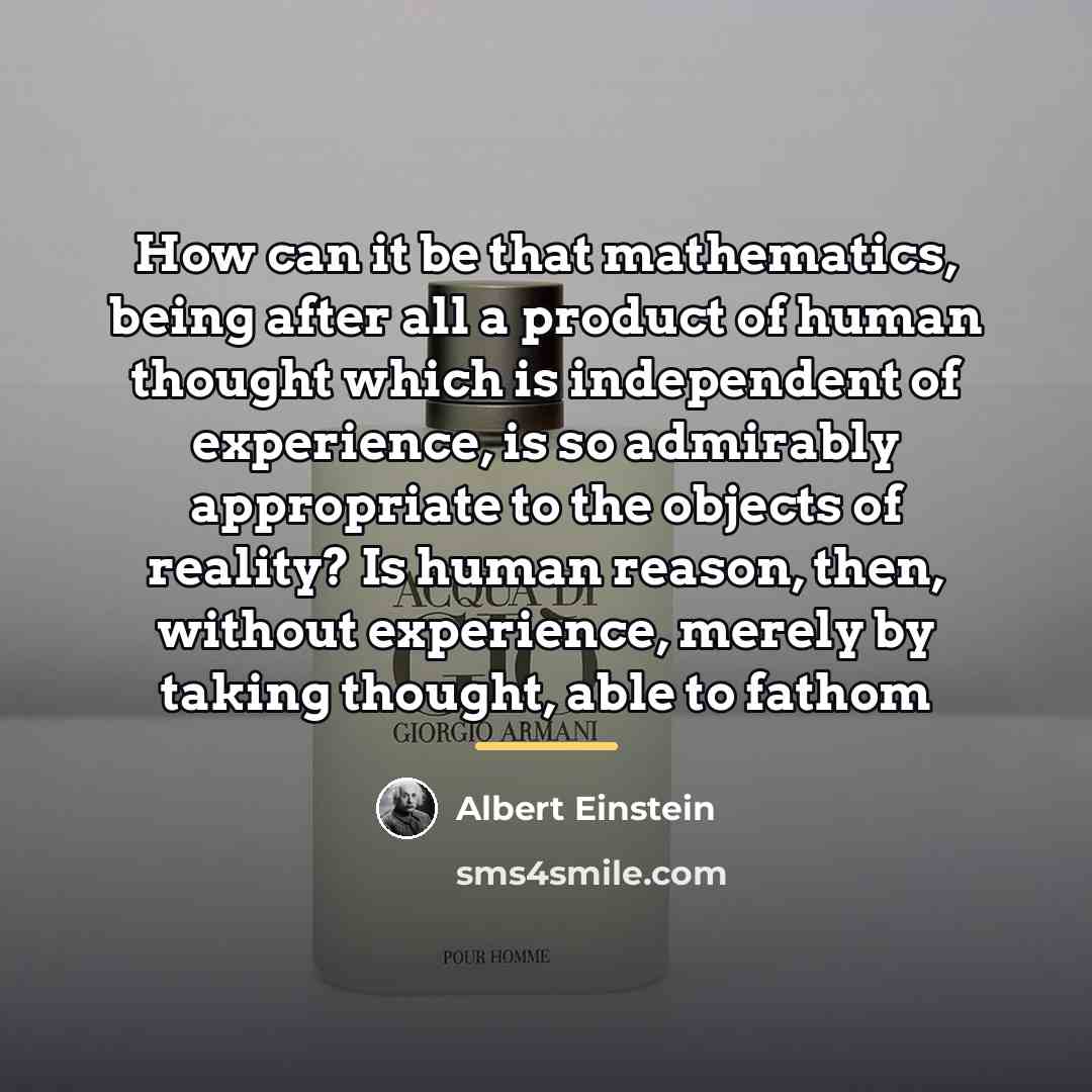 “How can it be that mathematics, being after all a…” quote by Albert Einstein