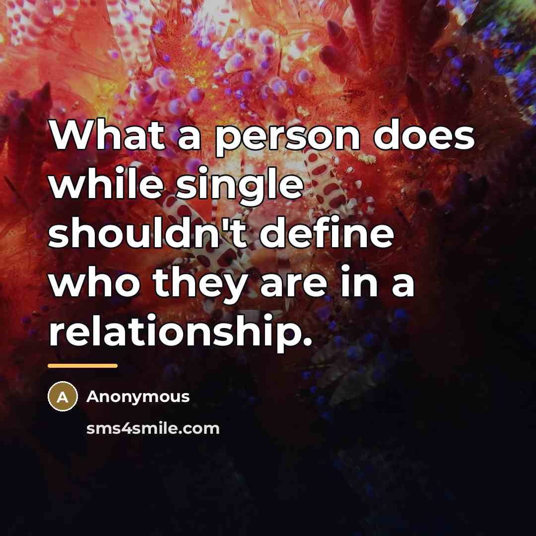 “What a person does while single shouldn't define who they…” quote by Anonymous
