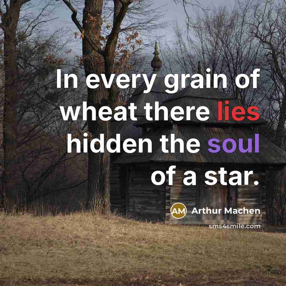 “In every grain of wheat there lies hidden the soul…” quote by Arthur Machen