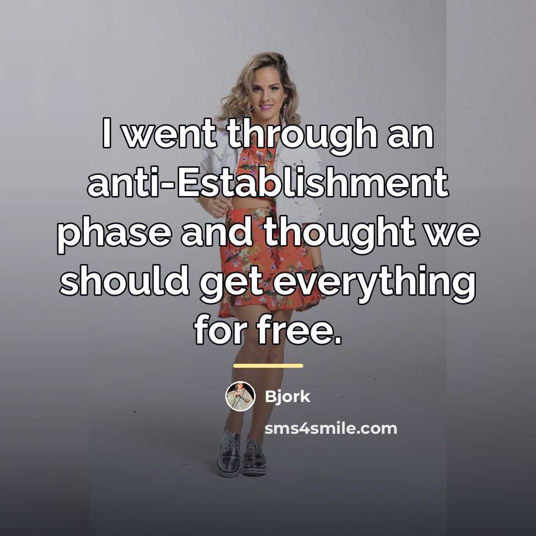 “I went through an anti-Establishment phase and thought we should…” quote by Bjork