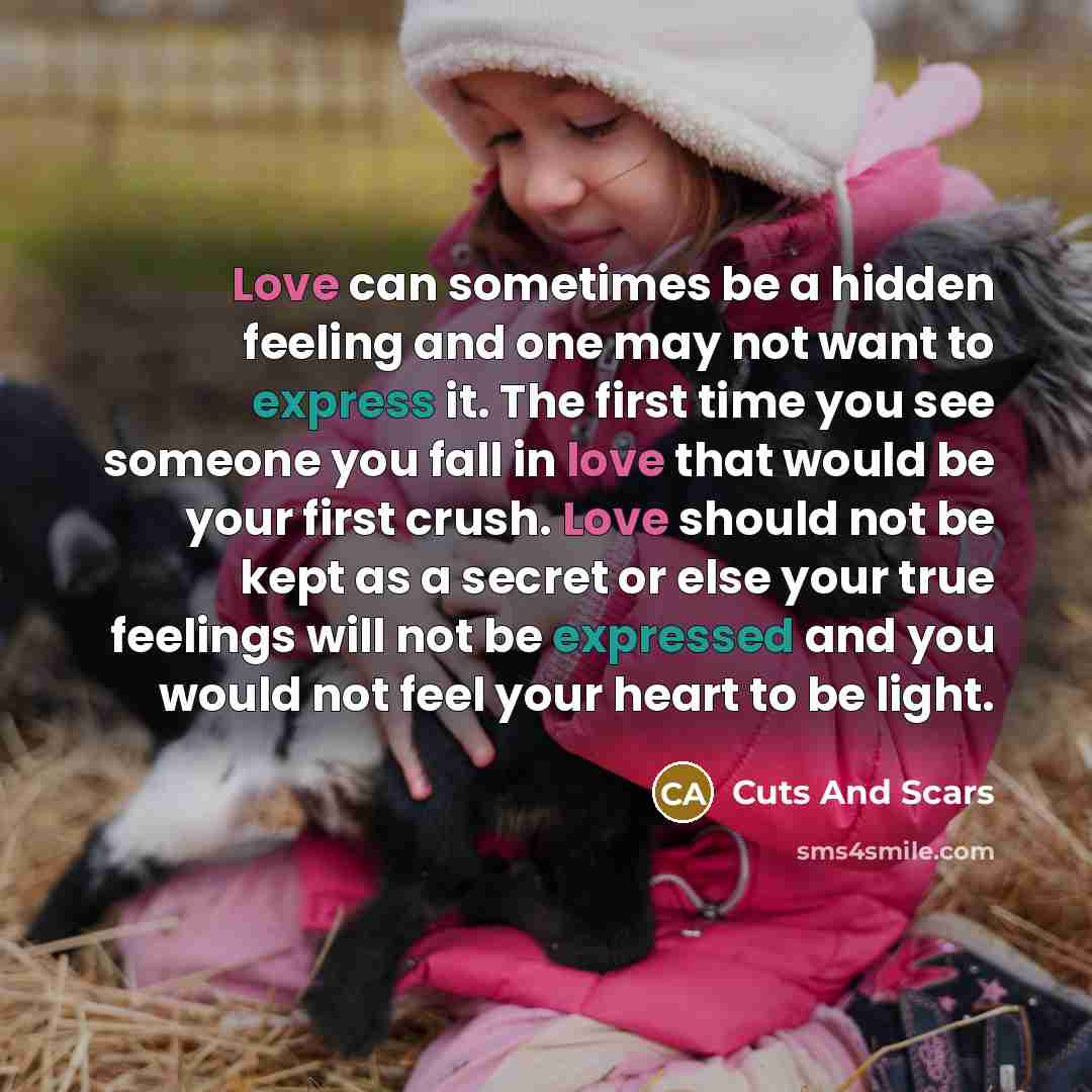 “Love can sometimes be a hidden feeling and one may not want to express it. The first time you see someone you fall in love that would be your first crush. Love should not be kept as a secret or else your true feelings will not be expressed and you would not feel your heart to be light.” quote by Cuts And Scars