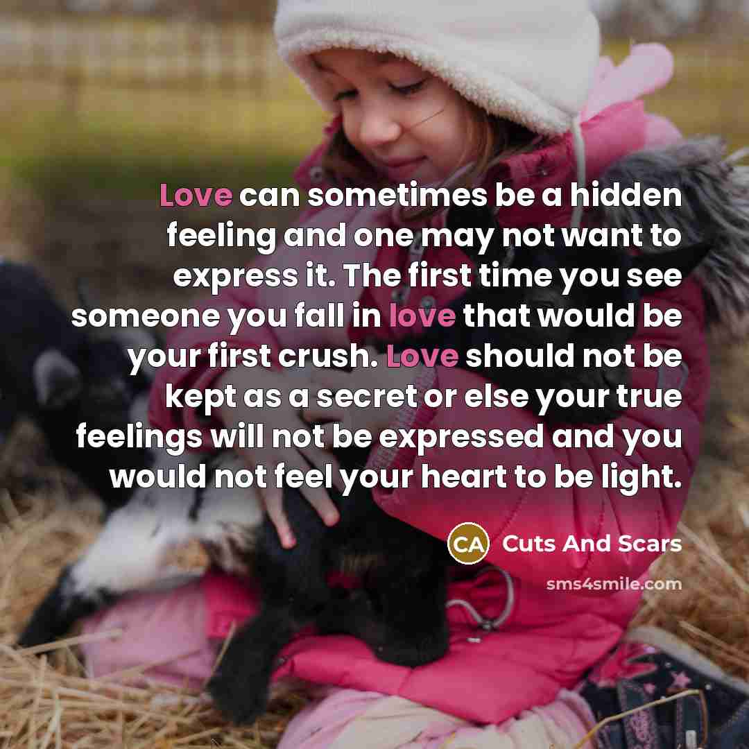 “Love can sometimes be a hidden feeling and one may…” quote by Cuts And Scars