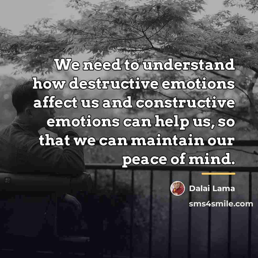 “We need to understand how destructive emotions affect us and…” quote by Dalai Lama