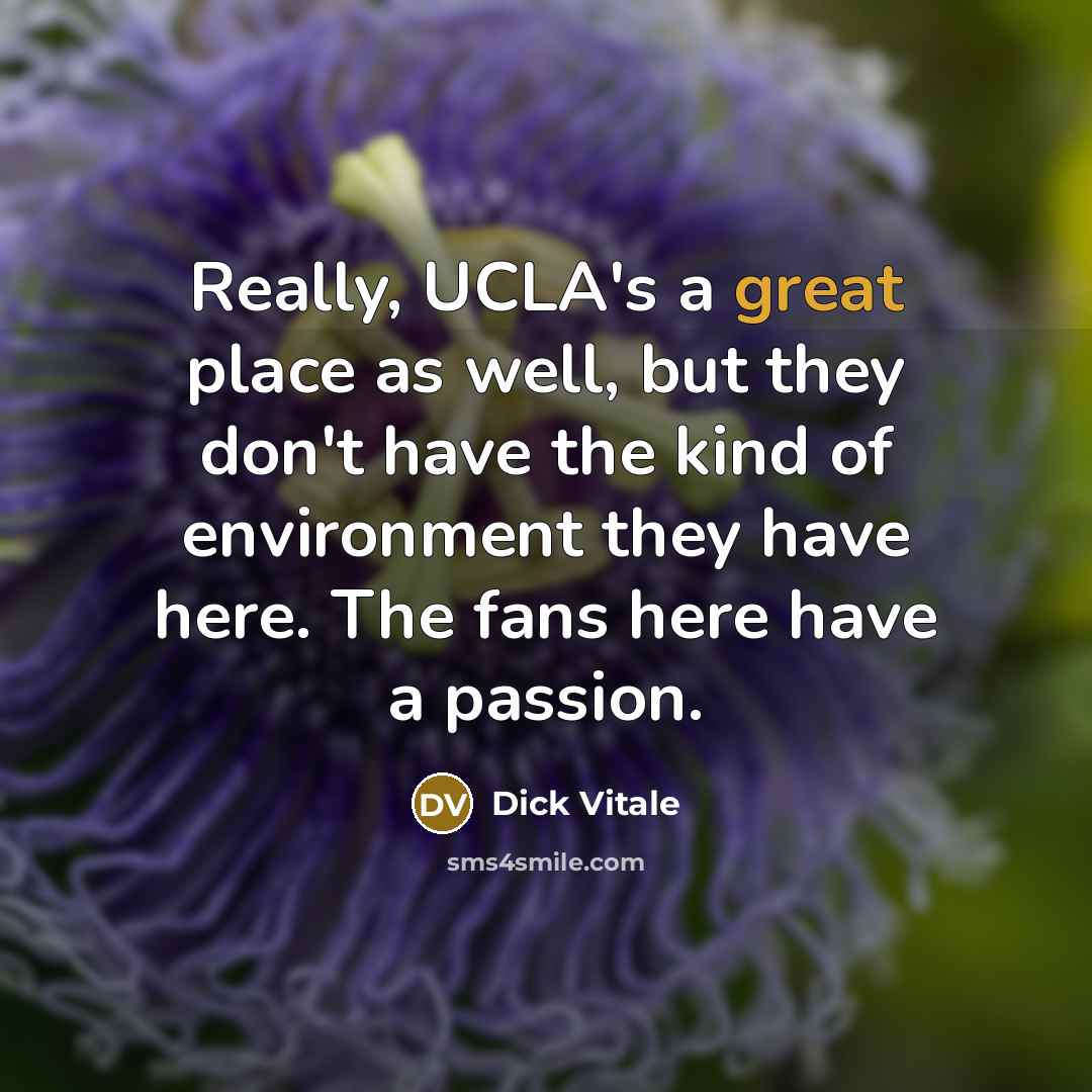 “Really, UCLA's a great place as well, but they don't…” quote by Dick Vitale
